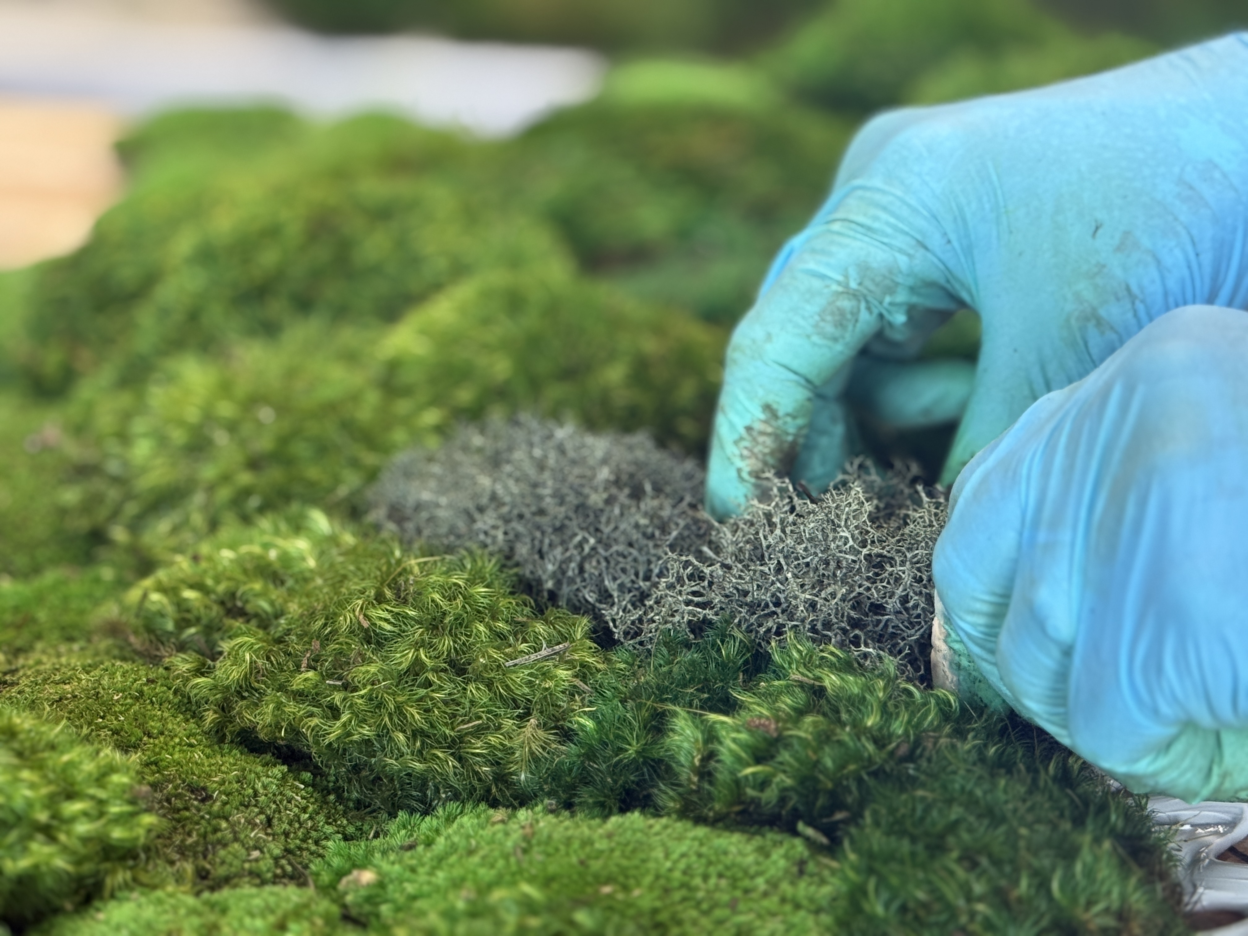 562A383F-4714-45DD-A305-2BAB538C937C