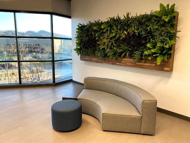 Raised living wall in an office waiting room