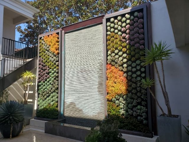 Two tall colorful succulent greenwalls