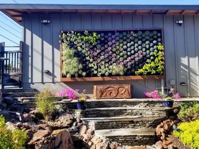Outdoor colorful succulent wall