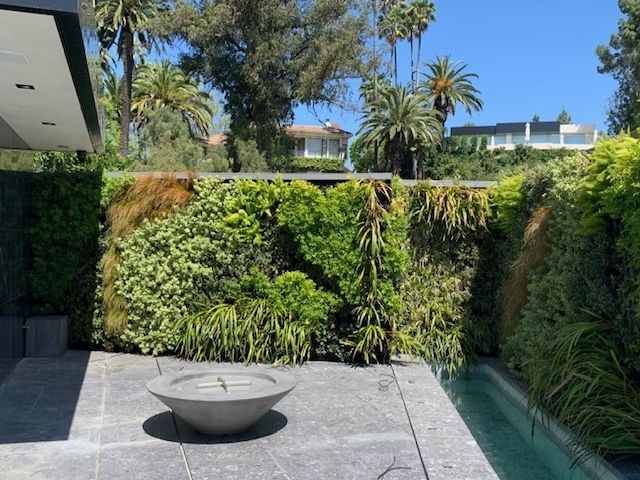 Giant custom outdoor living wall