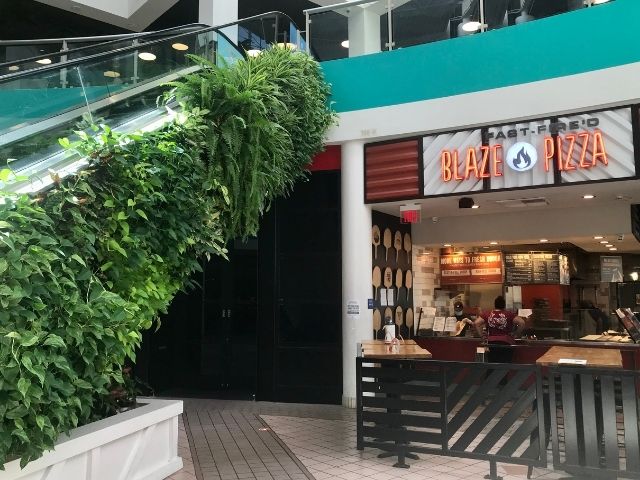 Large living wall on escalator in a mall