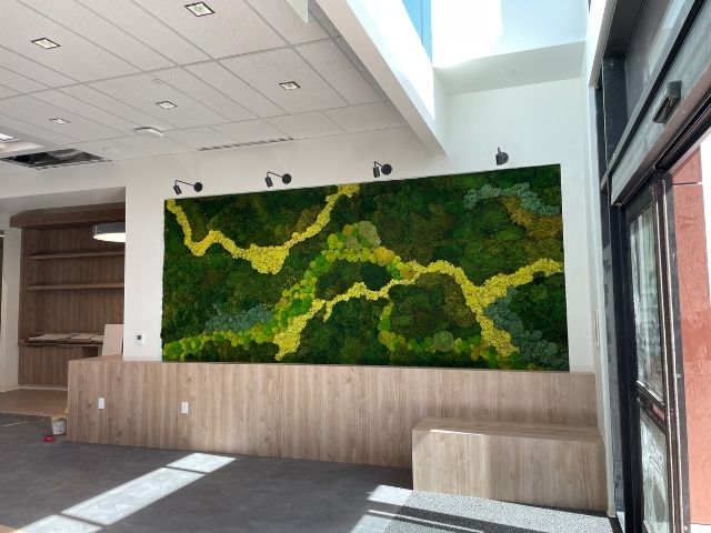 Large moss wall in an office 