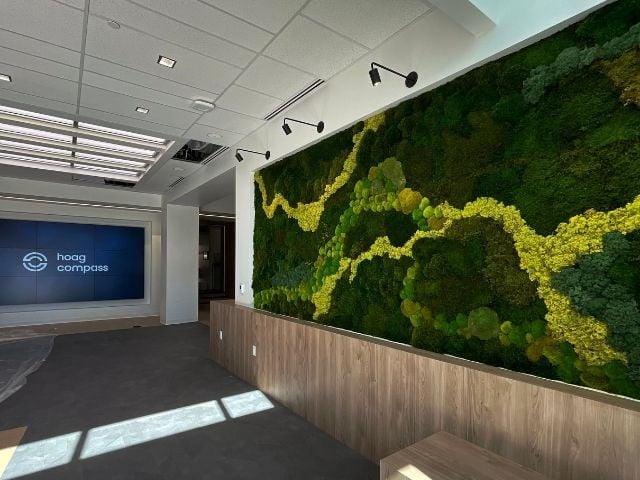 Large moss wall in an office