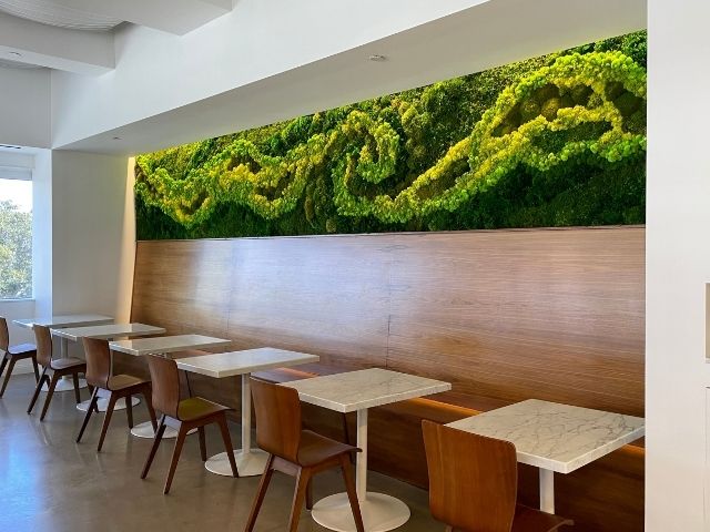 High moss wall above seating in a restaurant 