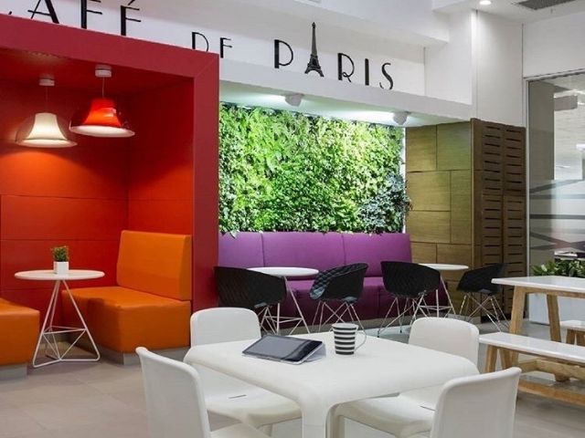 Greenwall in a bright, funky cafe
