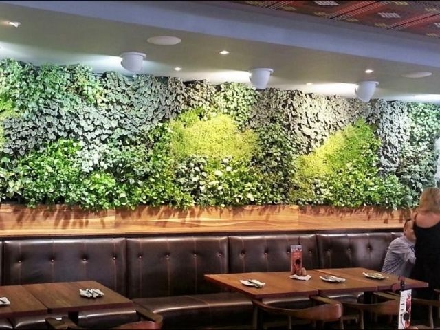 Large greenwall in a restaurant
