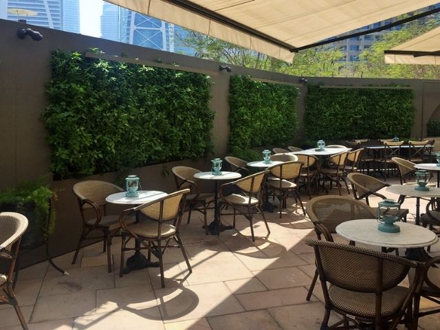 Several large living walls in an outdoor restaurant