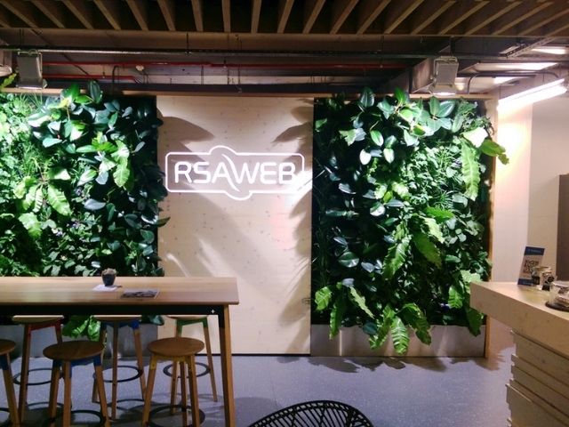 Two leafy living walls in a cafe
