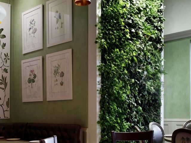 Tall living wall in a cafe
