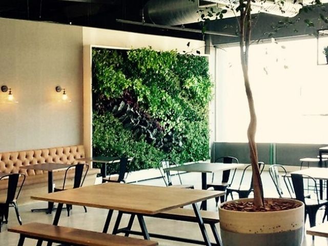living wall in a restaurant