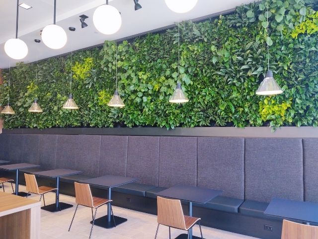 Long greenwall above the seating in a restaurant