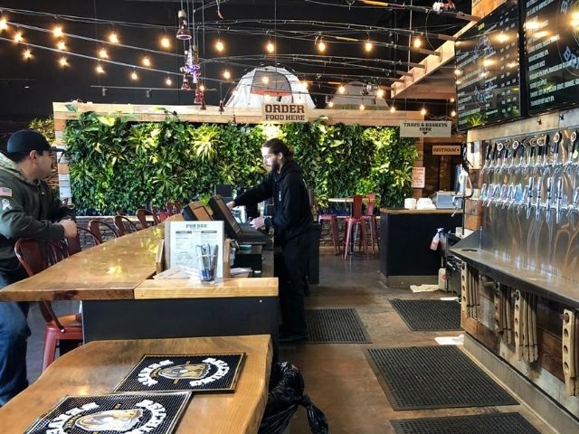 Belching Beaver pub greenwall for reducing ambient noise