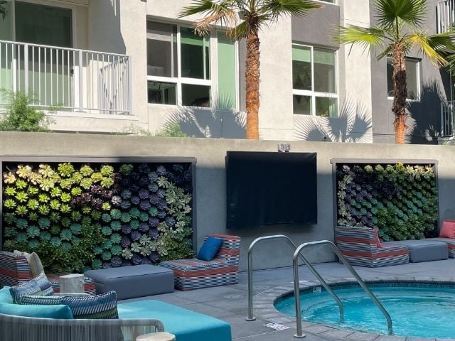 Large succulent greenwalls in apartment pool area