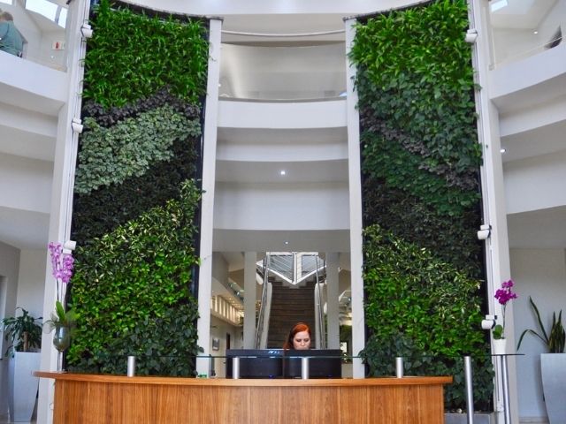 Reception area with two double story living walls