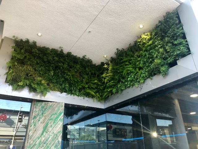 Lush living wall above doorway on the outside of a building