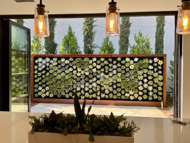 large succulent wall at an open-plan residence