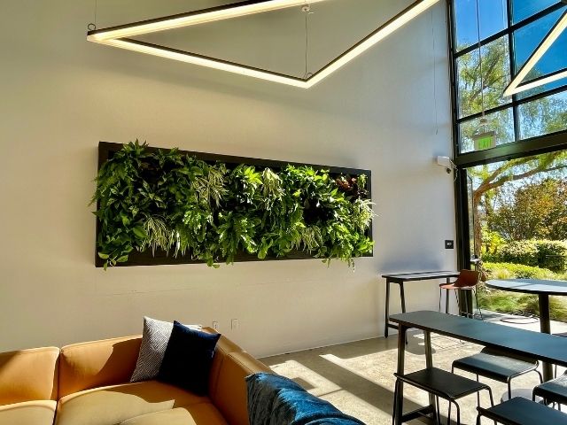 Residential living wall in modern home