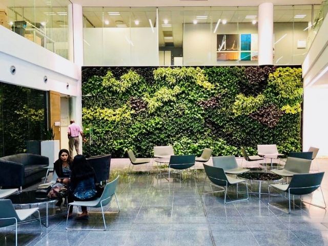 Large living wall in open office space