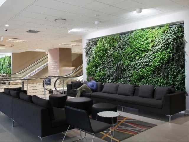 Large living wall in a waiting room