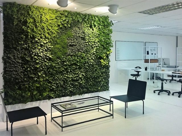 Large living wall in an office