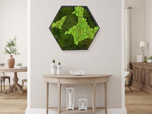 Hexagonal pre-built moss wall