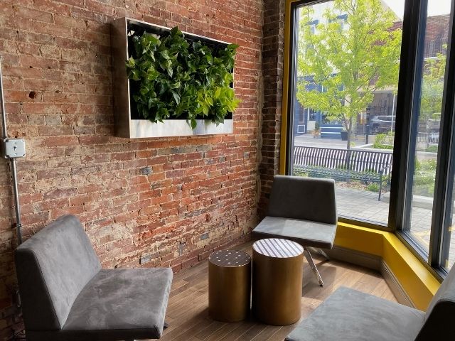 Pre-built moss wall on a red brick wall in a home