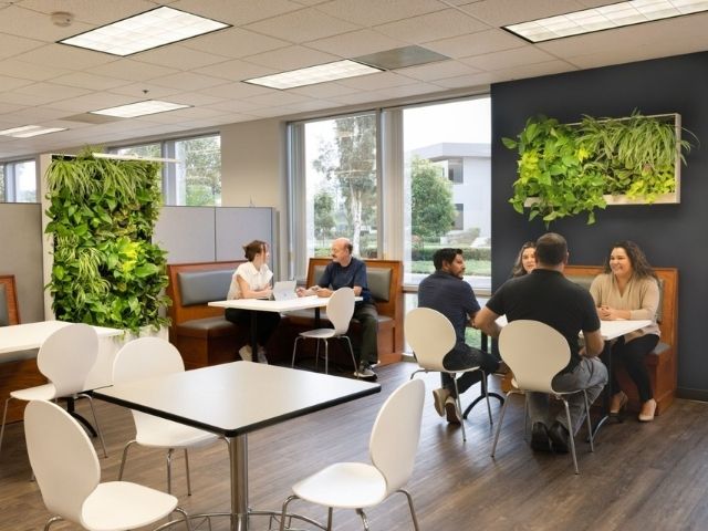 office with two pre built greenwalls