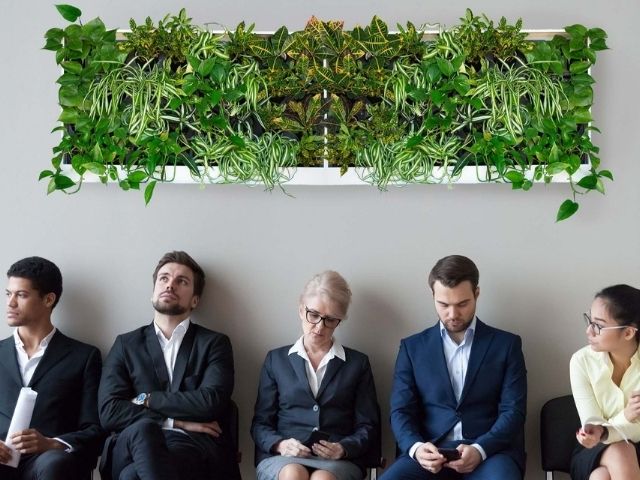 pre-built greenwalls in a office waiting room