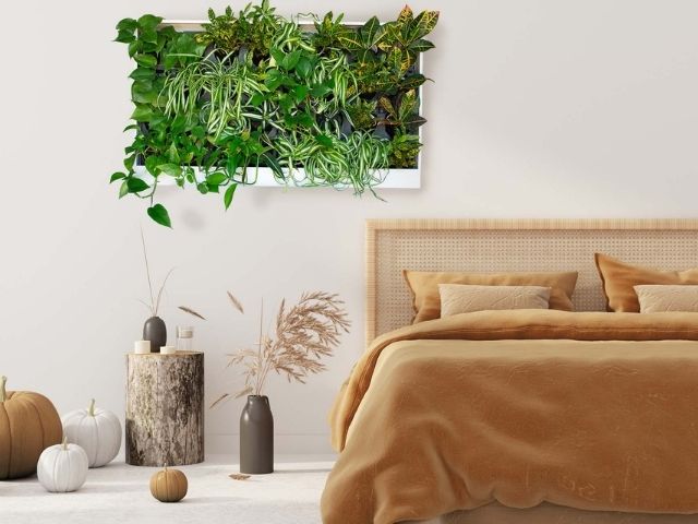 Freedom series designer in a bedroom
