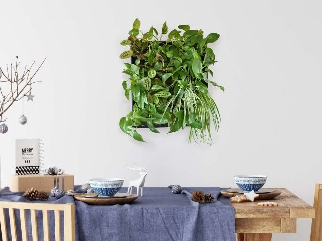 small pre built greenwall above dining table