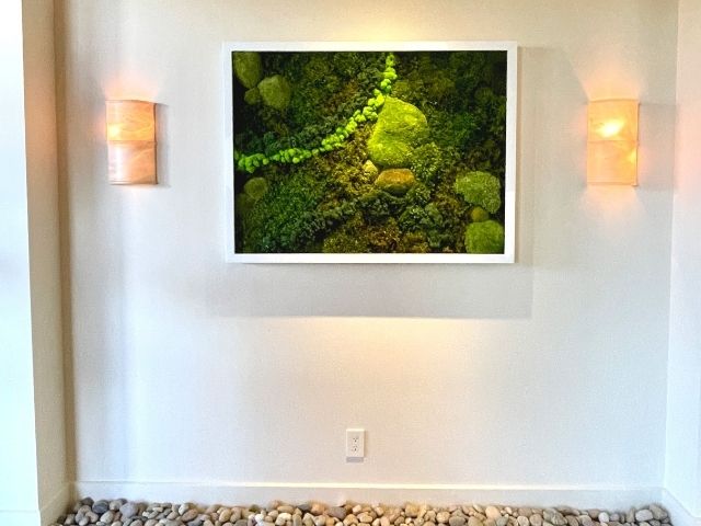 Small moss wall in residential entry way