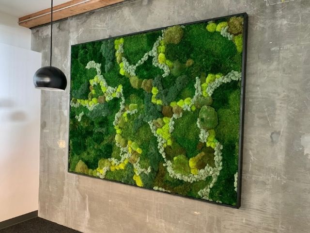 Vibrant moss wall 
