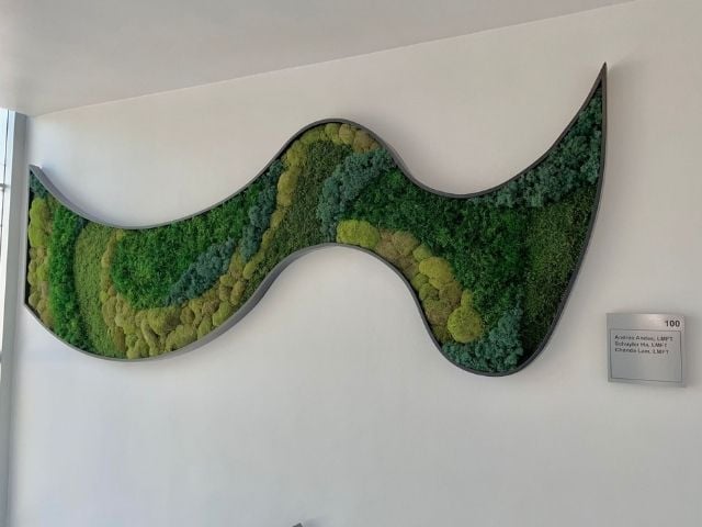 moss wall in unique wave shape