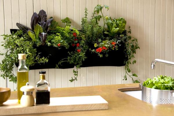 cute-indoor-herb-garden_grande-1