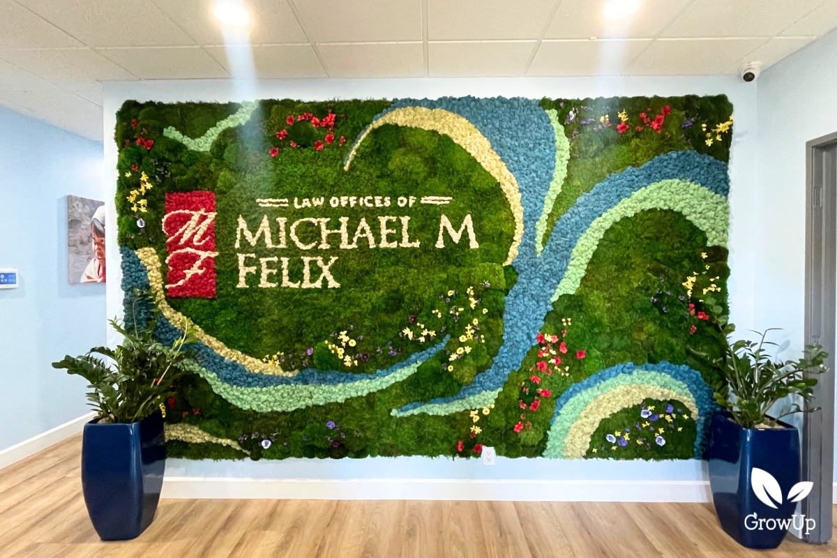 Michael Felix Law Offices