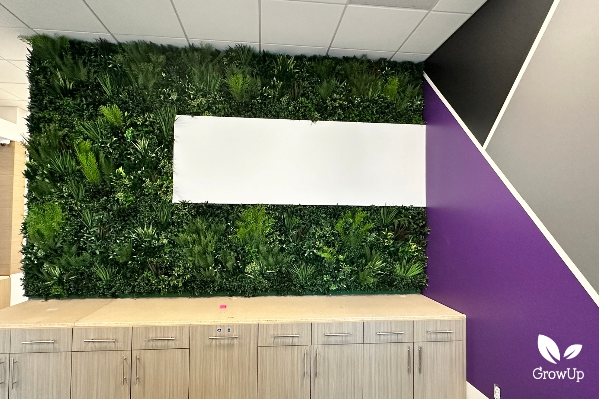 Kinecta bank rochester