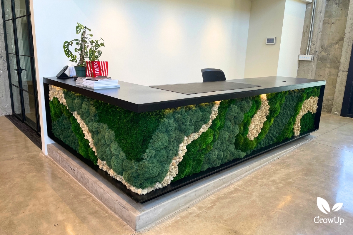 Forma Construction moss reception desk