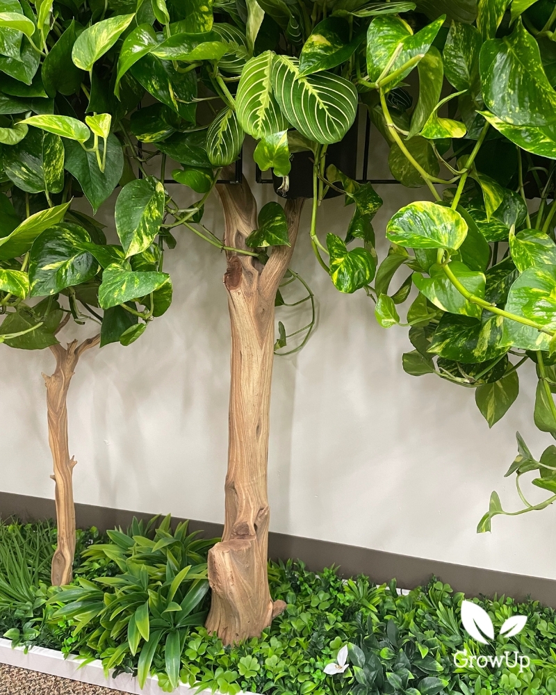 Close up tree living wall