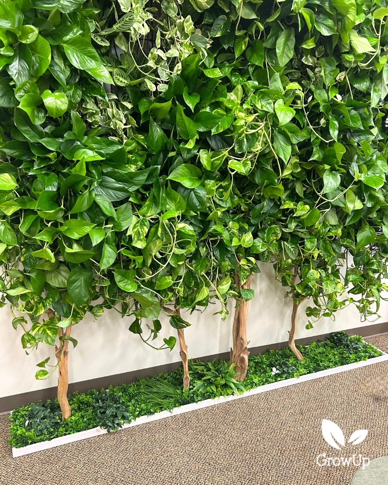 Close up tree living wall