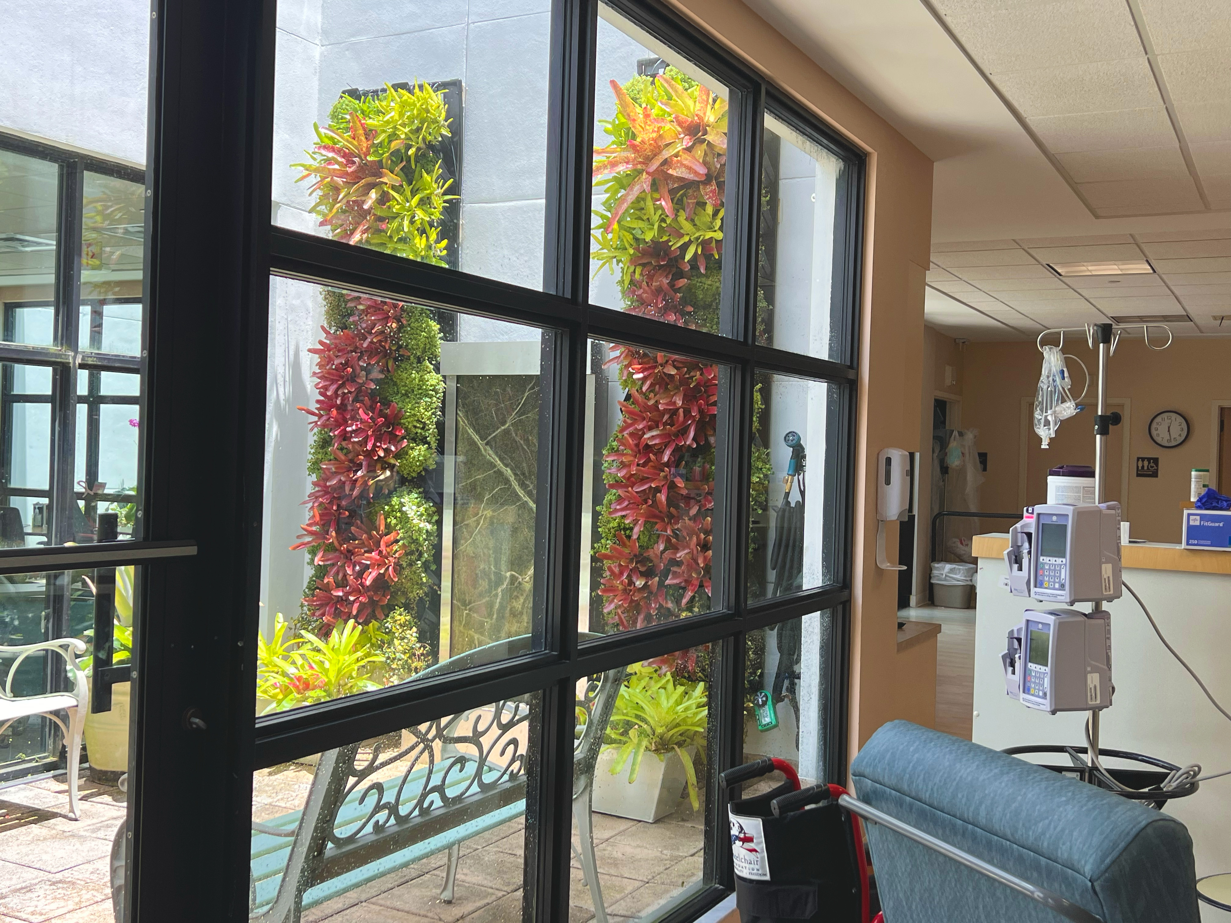 living plant wall in atrium of cancer treatment center