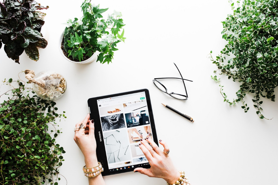 Checklist: How to Choose the Right Plants for Your Greenwall