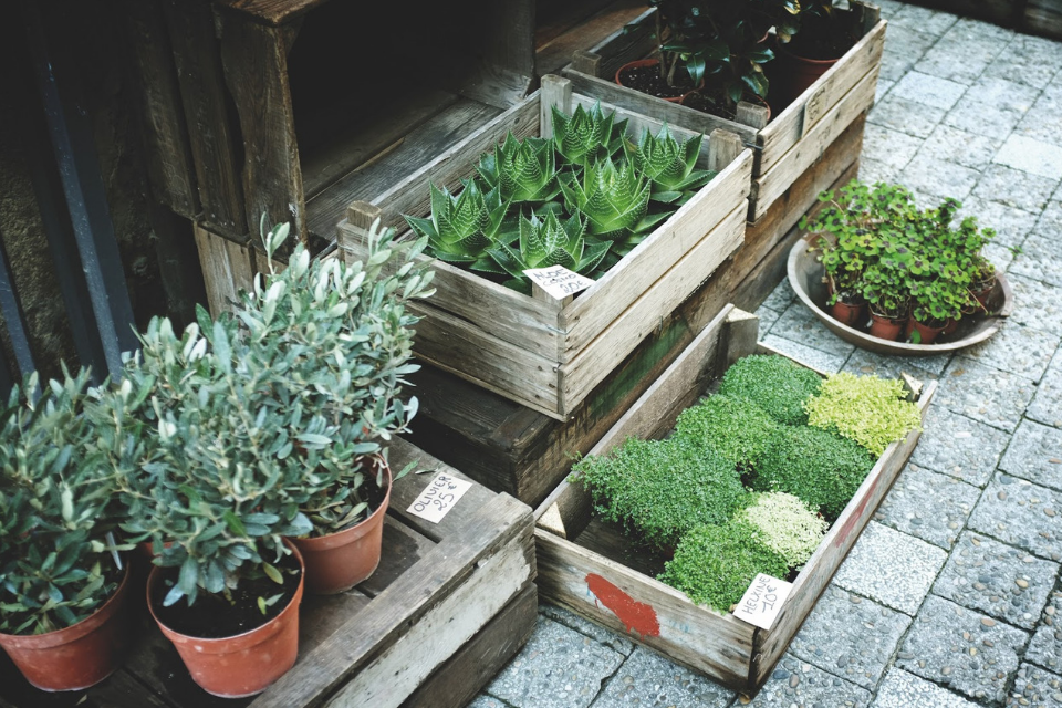 Stand Out From the Crowd: Four Reasons to Sell Living Walls