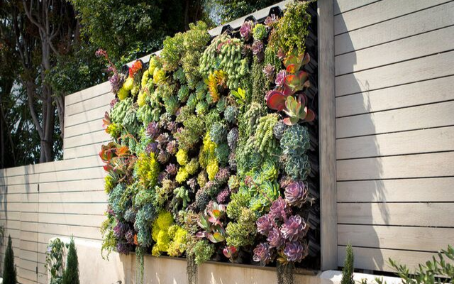 Case Study | Bosler Earth Design Succulent Greenwall Install