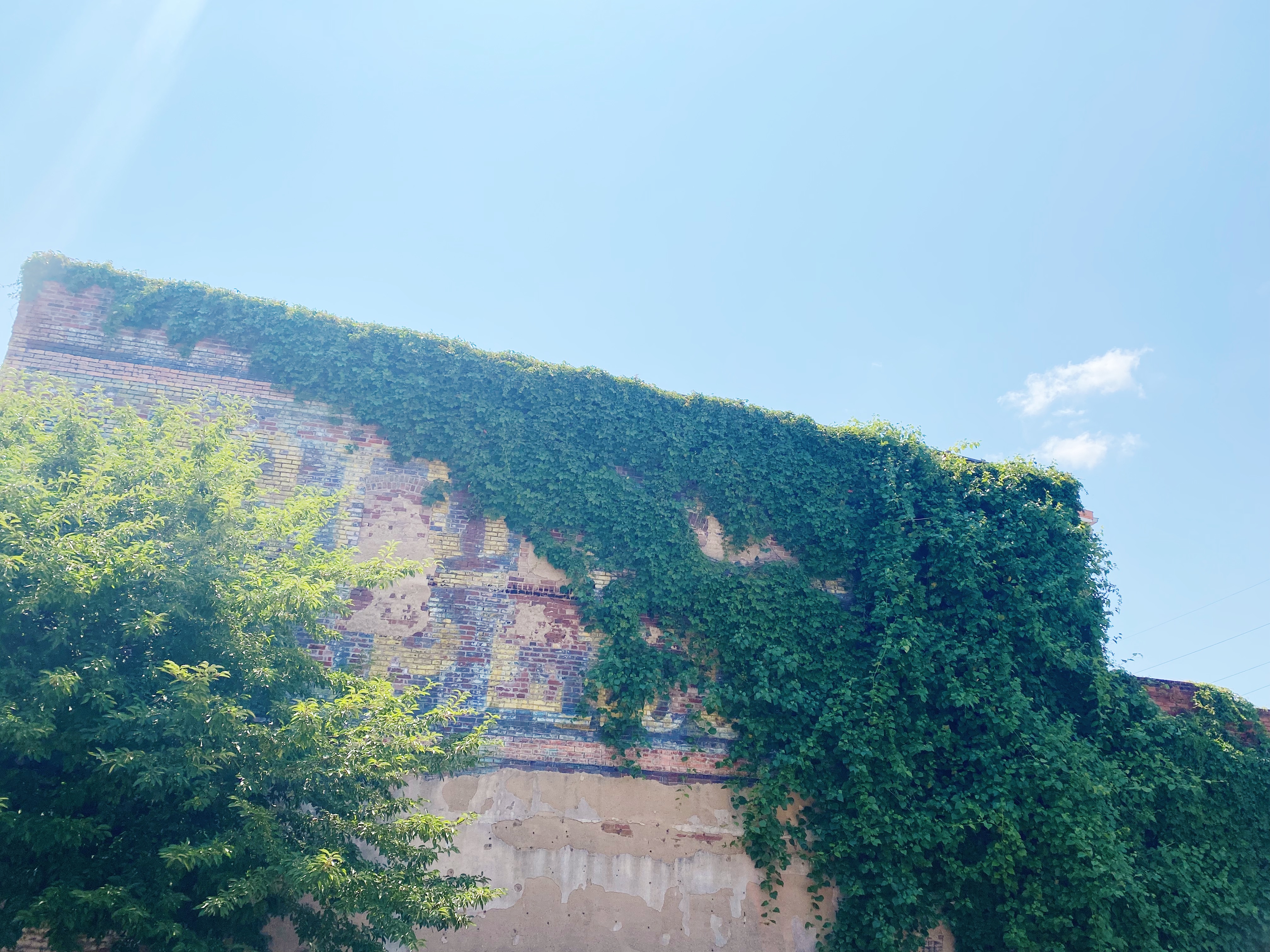 Guest Blog | Green Revolution: How LEED Is Transforming the Way We Live