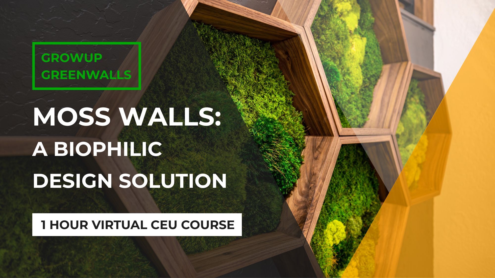 Moss Walls Course Cover