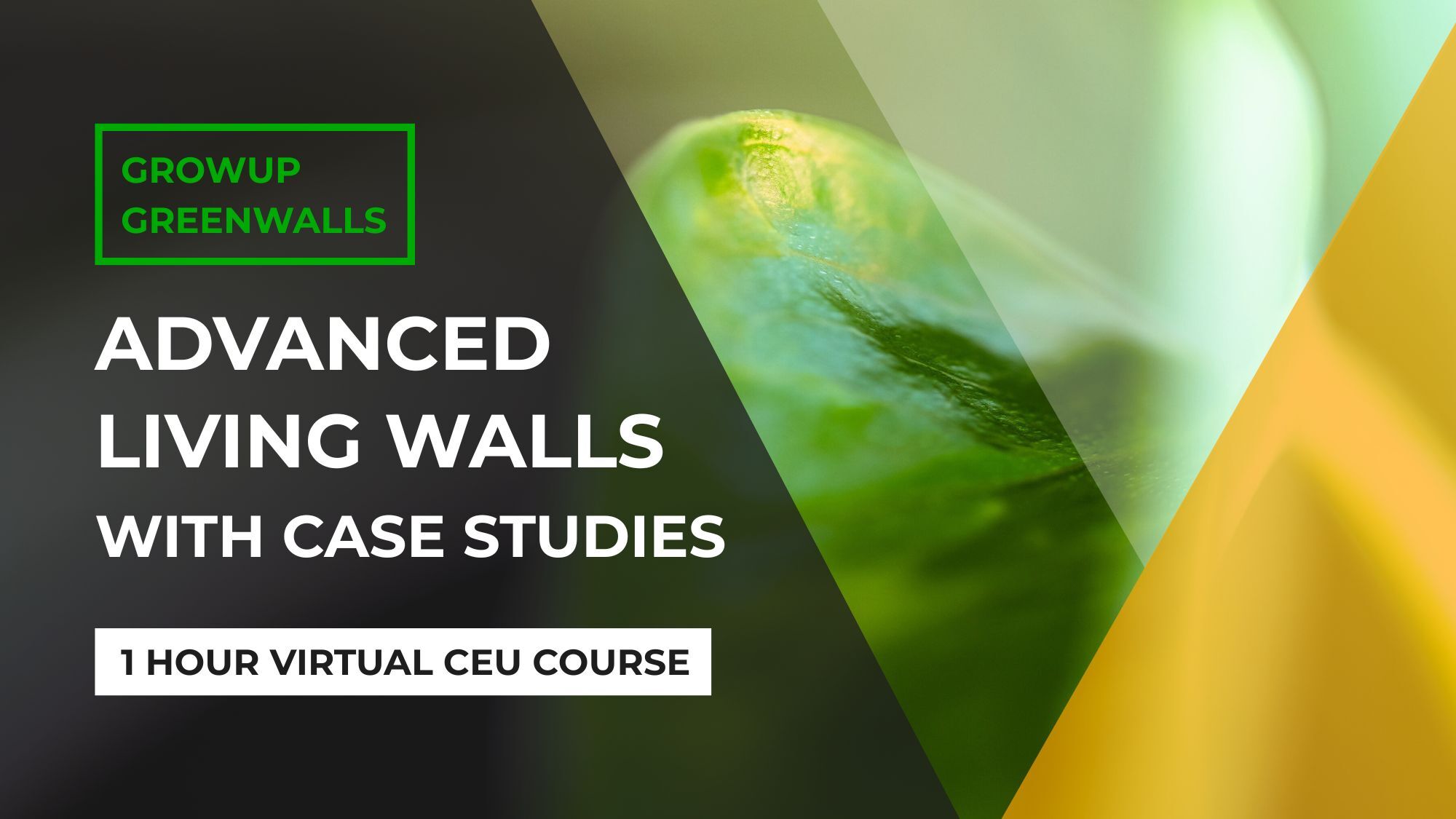 Advanced Living Walls Course Cover