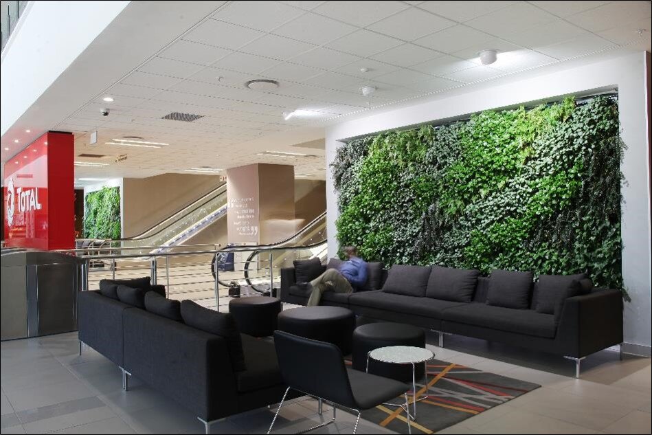 indoor living wall