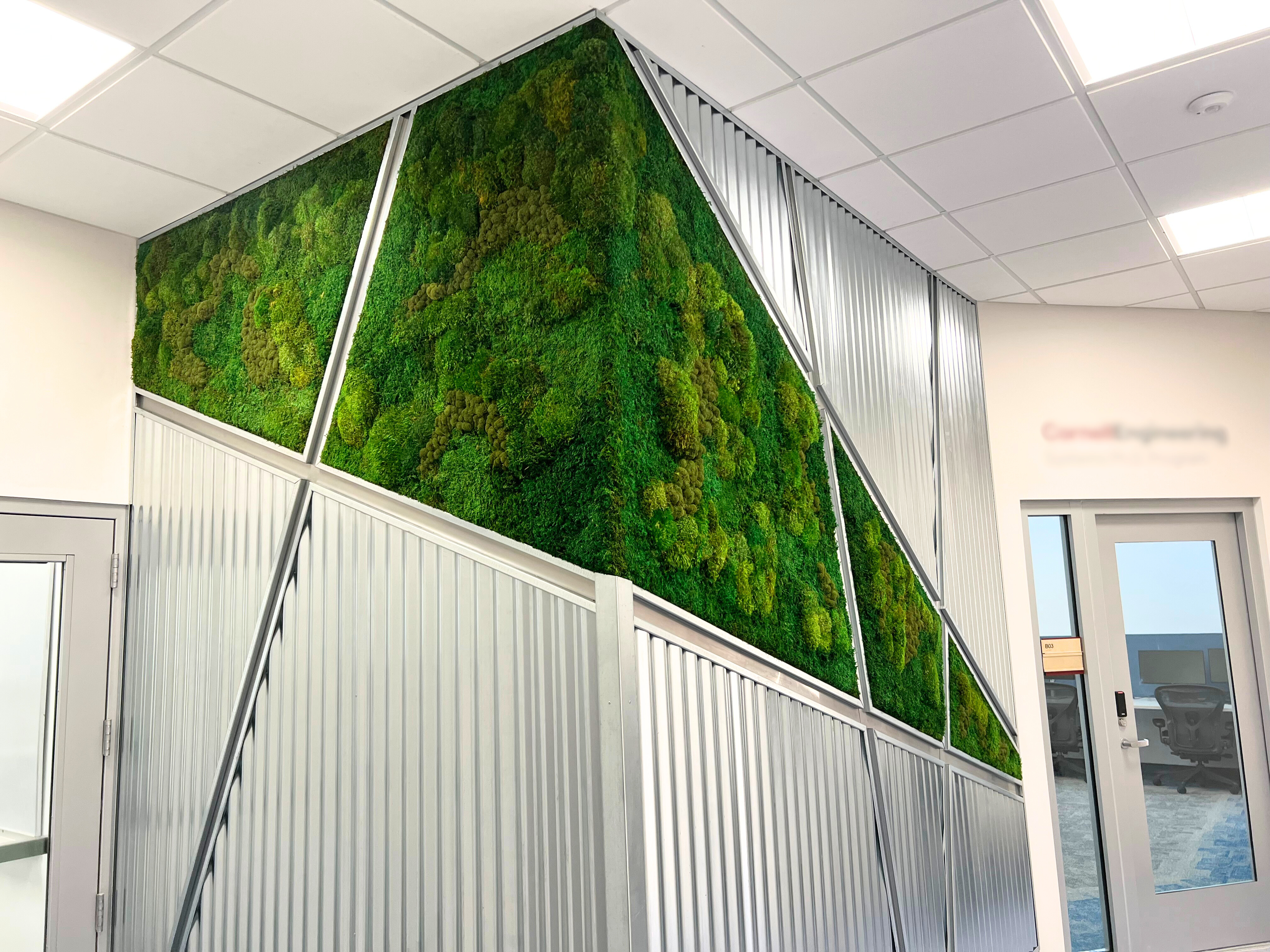 Biophilic Architecture: A Practical Guide to Human-Centered Design