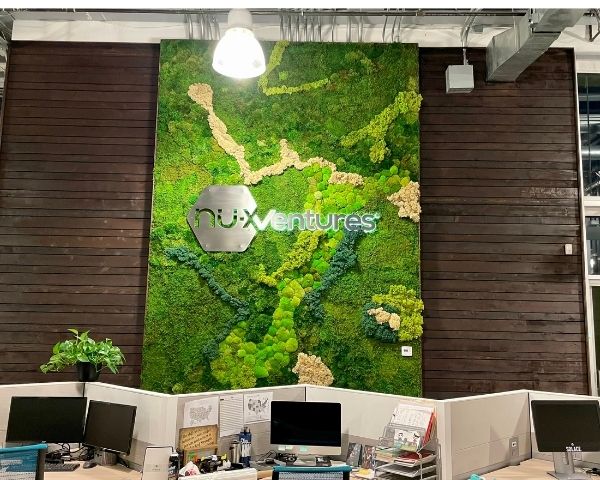 Why Biophilic Design is Integral to Our Well-Being